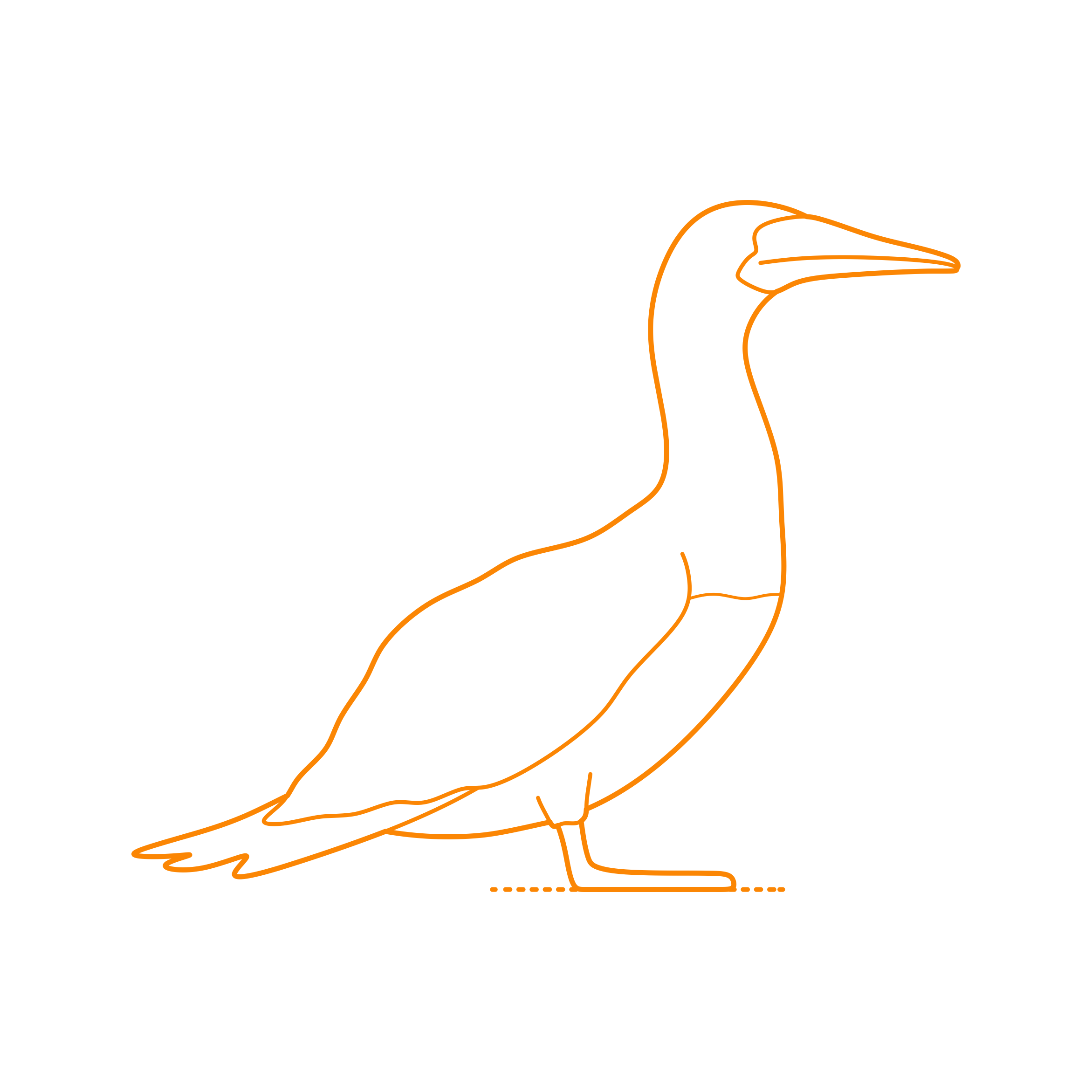 Animals Seabirds Brown Booby Outline Drawing Svg Vector Free Vectors